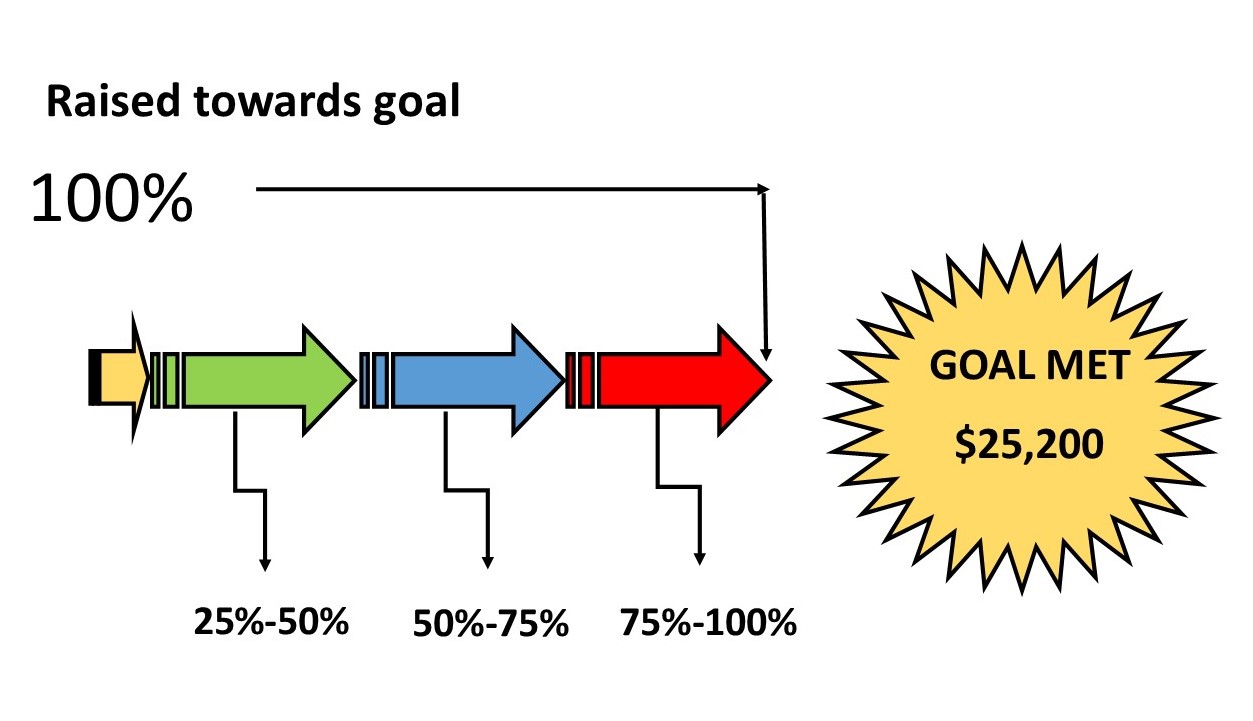 Matching Grant Graphic (100 Narrow)